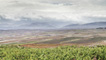 Rioja Heart Views