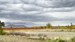 Vineyard landscape near Alberite