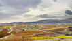 La Rioja vineyards in autumn