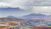 Rioja vineyard landscape